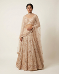 Champagne Éclat Lehenga